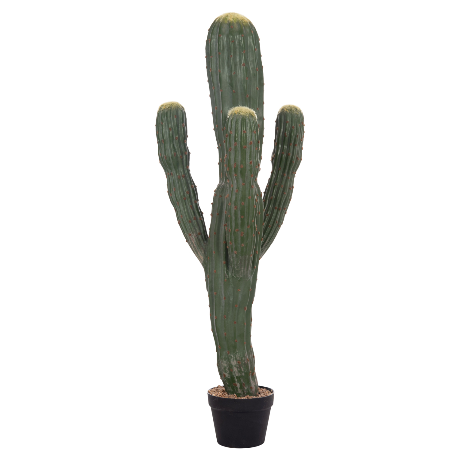 diakosmitiko-synthetiko-fyto-fb94746-kak