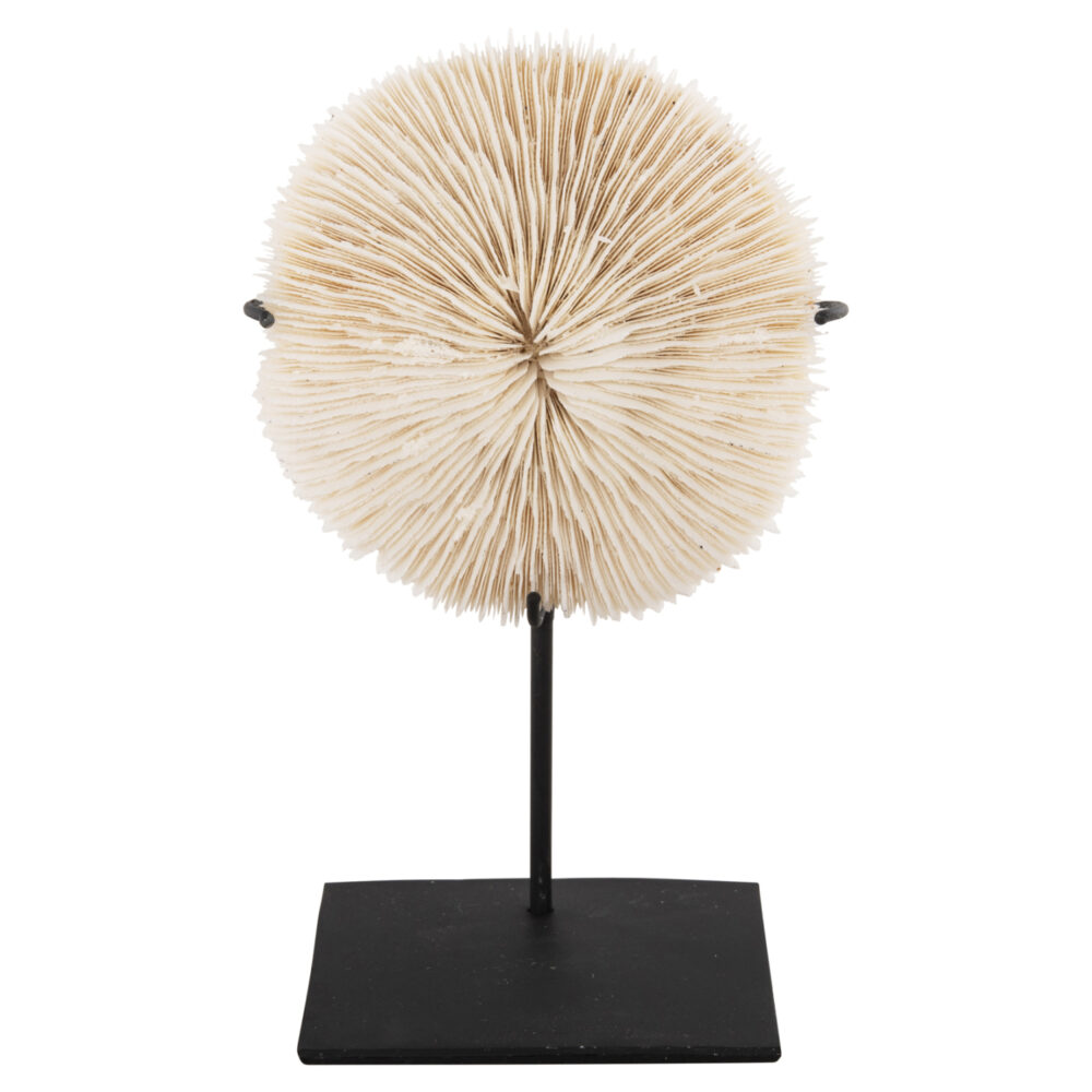 Επιτραπέζια διακοσμητικά